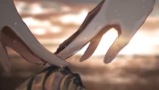 朱色砂滨——红色的海滩