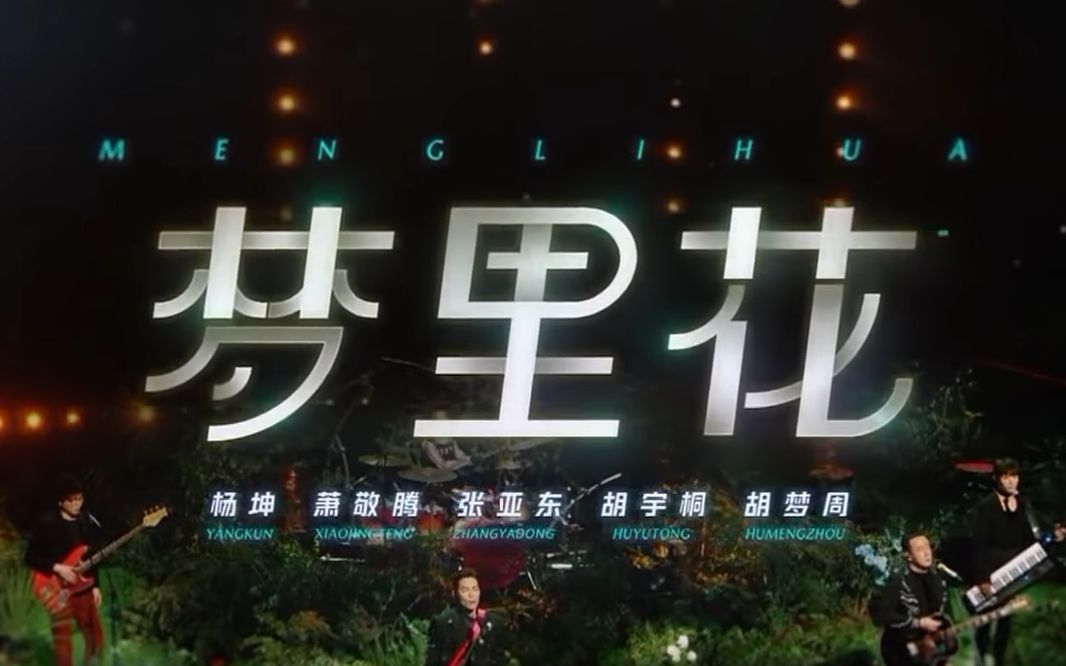 梦里花——泠鸢yousa